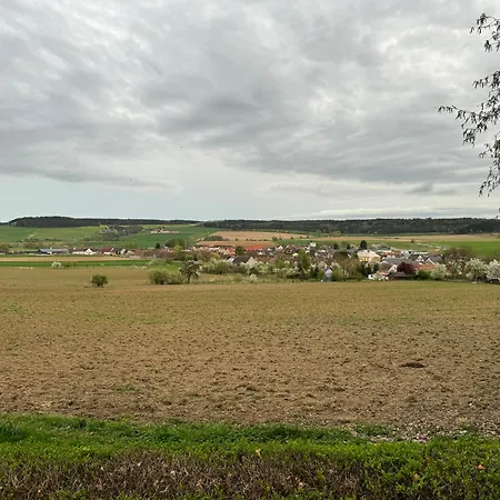 U Lesa شقة Přeštice